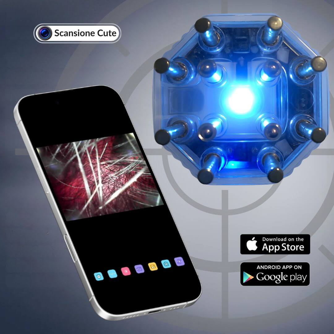 immagini - 2025-11-28T172415.013 (1).jpg__PID:38e149f2-e635-4e1b-9f57-74b5ea23368a